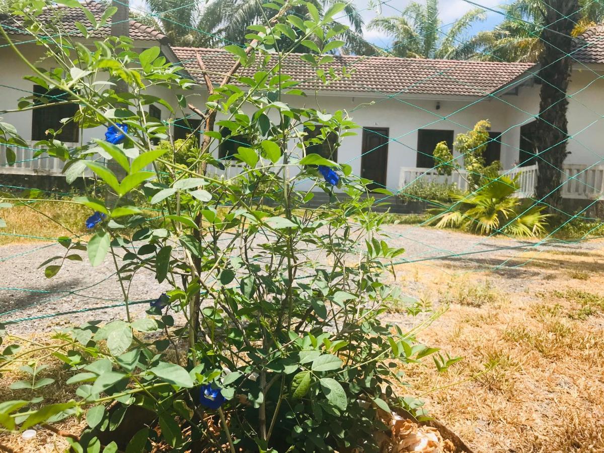 Отель Palm Garden House Quang Tri Экстерьер фото