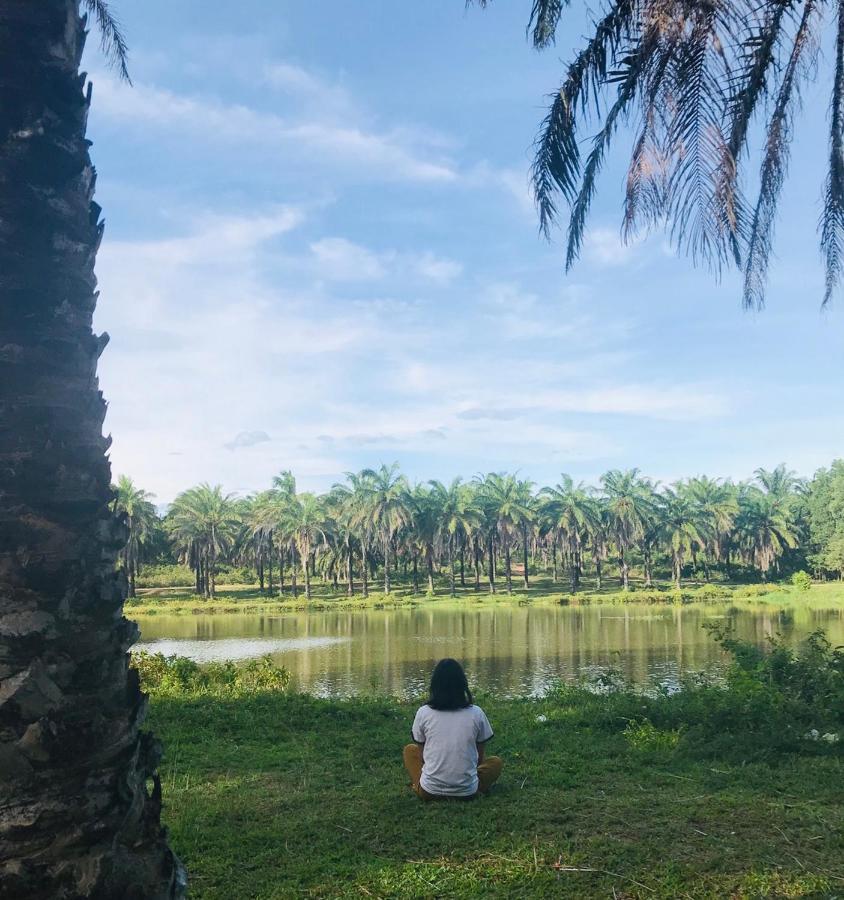 Отель Palm Garden House Quang Tri Экстерьер фото