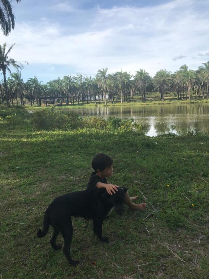 Отель Palm Garden House Quang Tri Экстерьер фото