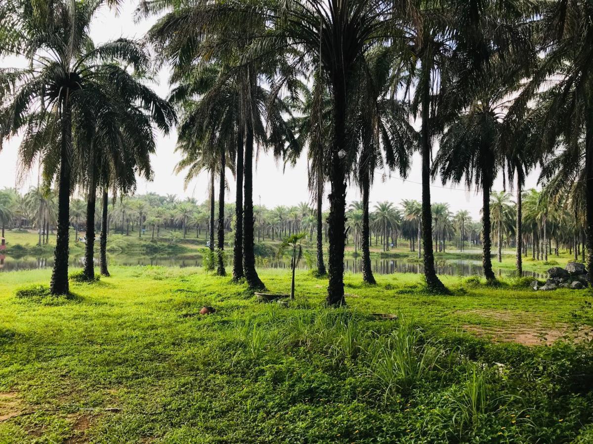 Отель Palm Garden House Quang Tri Экстерьер фото