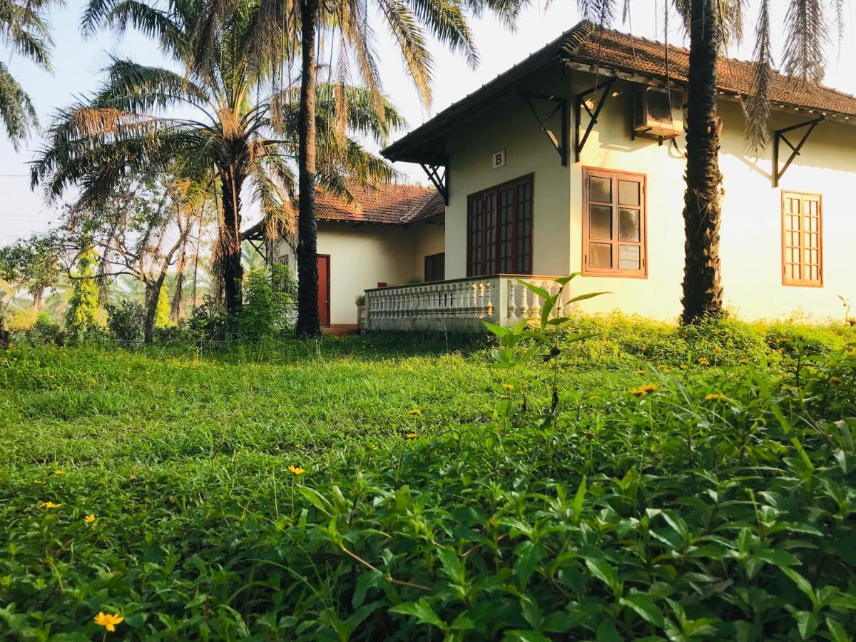 Отель Palm Garden House Quang Tri Экстерьер фото